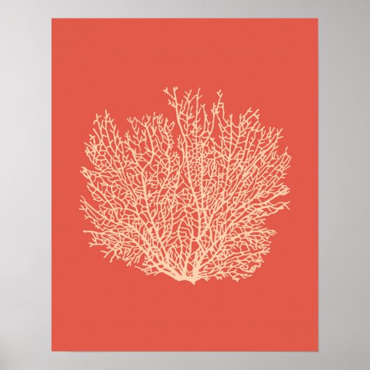 Afdrukken van ventilatorkoraal, doorschijnend op d poster (Voorkant)