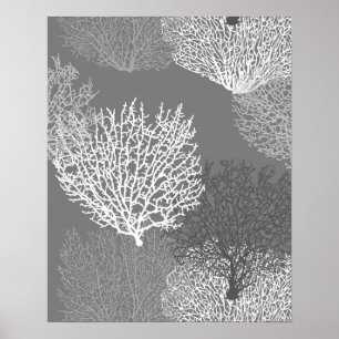 Afdrukken van ventilatorkoraal, schaduwen van zilv poster