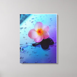 Afdrukken van verrekend Canvas