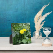 Afdrukken van verrekend Canvas Fotoplaat (Insitu)