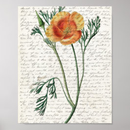 Afdrukken, waardepapier (steen) poster