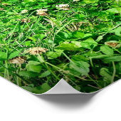 Afdrukken, waardepapier (steen) poster (Hoek)