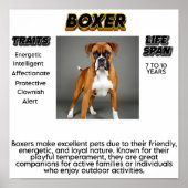 Afdrukken, waardepapier (steen) poster (Voorkant)