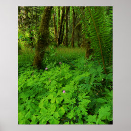 Afdrukken, waardepapier (steen) poster