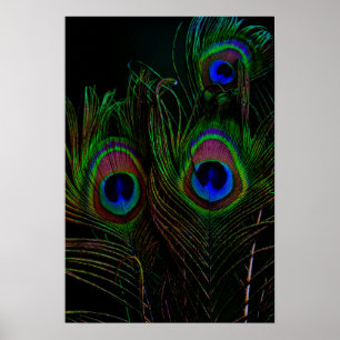 Afdrukken, waardepapier (steen) poster