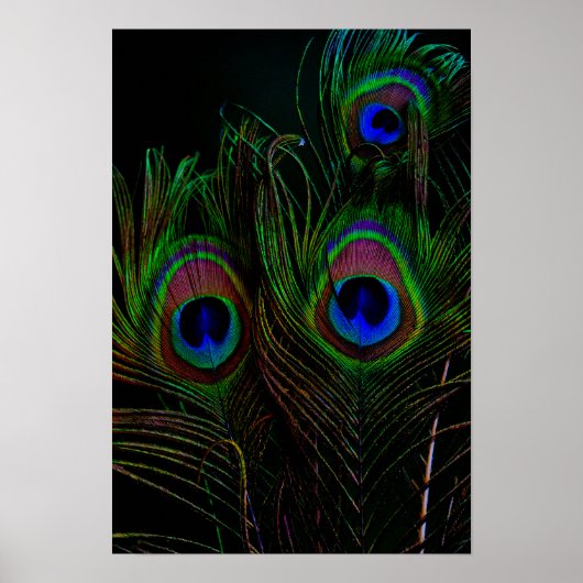 Afdrukken, waardepapier (steen) poster (Voorkant)