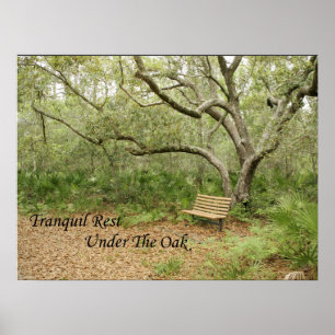 Afdrukken, waardepapier (steen) poster