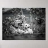 Afdrukken, waardepapier (steen) poster (Voorkant)