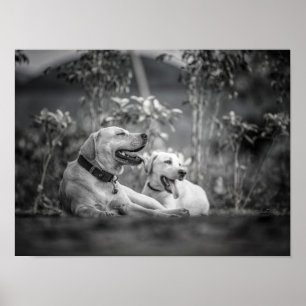 Afdrukken, waardepapier (steen) poster