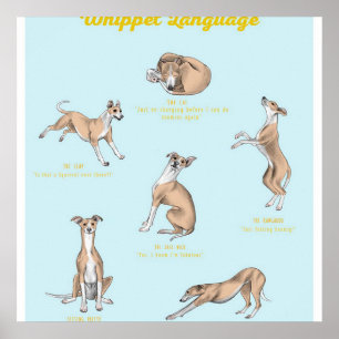 Afdrukken Whippet Language   Whippet Canvas Poster