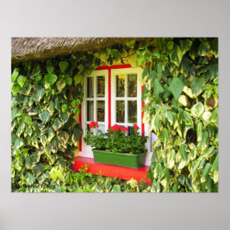 Afdrukken Windows Adare Poster