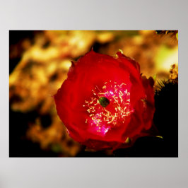 Afdrukken woestijnbloei poster