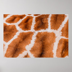 Afdrukstructuur Giraffe Poster