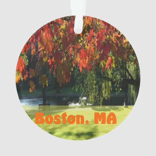Affaire Foliage de Boston (dos)