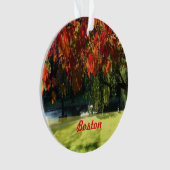 Affaire Foliage de Boston (devant)