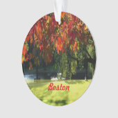 Affaire Foliage de Boston (devant)