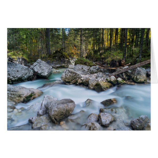 Affaire Torrent Ramsauer (Devant horizontal)