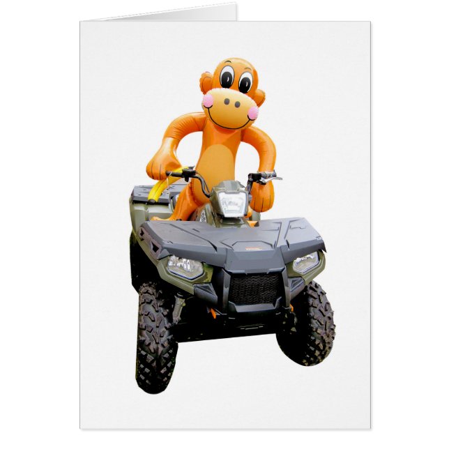 Affaires de singe (Devant)