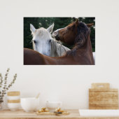 Affection du cheval - affiche (Cuisine)