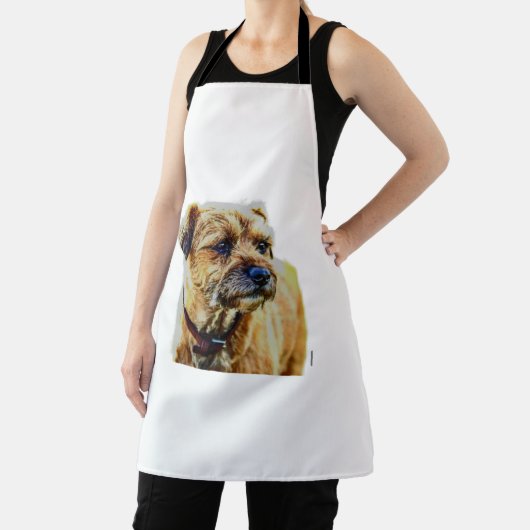 Affen Border Terrier Schort (Insitu)