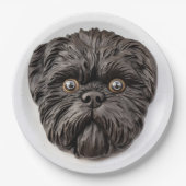 Affenpinscher 3D geïnspireerd Papieren Bordje (Voorkant)