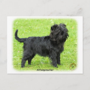 Affenpinscher 9R095D-093 Briefkaart