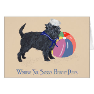 Affenpinscher à la plage