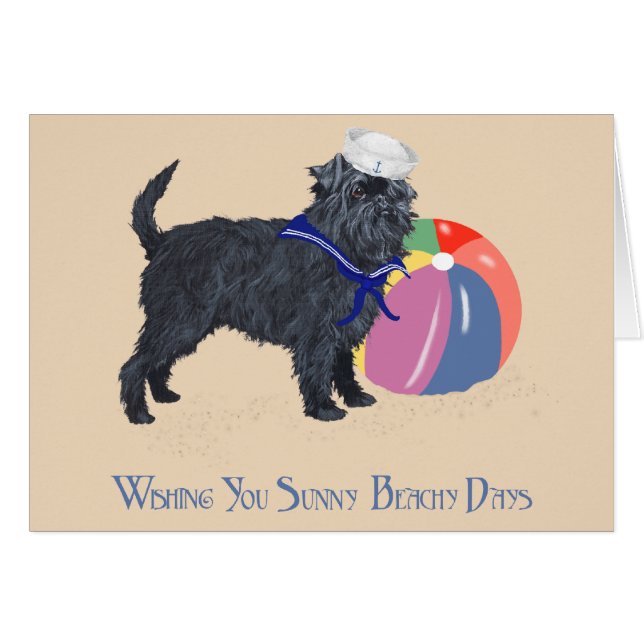 Affenpinscher à la plage (Devant horizontal)