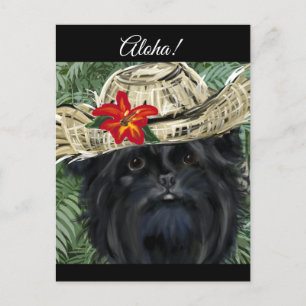 Affenpinscher briefkaart