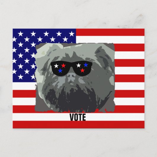 AFFENPINSCHER BRIEFKAART (Voorkant)