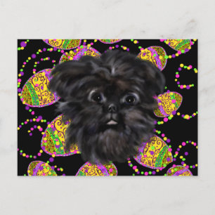 Affenpinscher Briefkaart