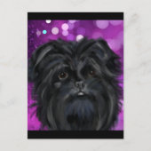 Affenpinscher briefkaart (Voorkant)