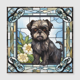 Affenpinscher Dog