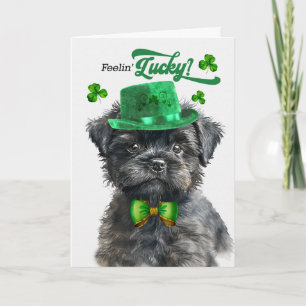 Affenpinscher-hond voelt zich gelukkig St. Patrick Feestdagen Kaart