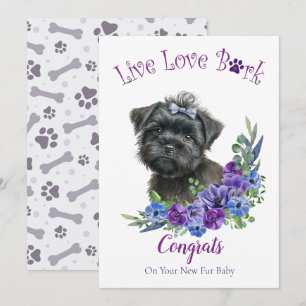 Affenpinscher hondenadoptie, Gotcha-dag Kaart