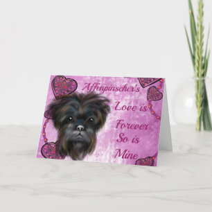 AFFENPINSCHER KAART