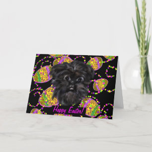 AFFENPINSCHER KAART