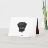 AFFENPINSCHER KAART (Achterkant)
