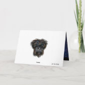 AFFENPINSCHER KAART (Achterkant)