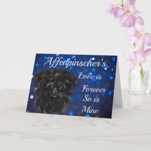 AFFENPINSCHER KAART