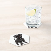 Affenpinscher Kartonnen Onderzetters (Insitu)