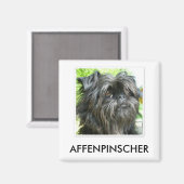 Affenpinscher Magnet Magneet (Voorkant / Achterkant)