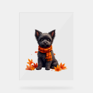 Affenpinscher met hart gemaakt van herfstbladeren acryl bord