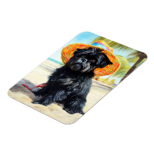 Affenpinscher op strand, zomercadeau voor hondenli magneet