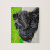 Affenpinscher Purebred Dog. Legpuzzel (Verticaal)