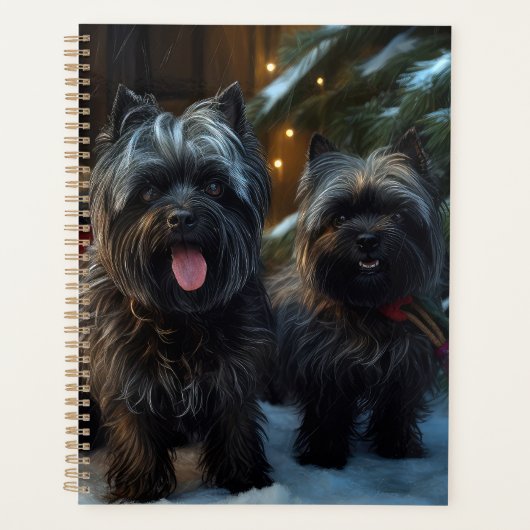 Affenpinscher Snowy Sleigh Ride Décor de Noël (Devant)
