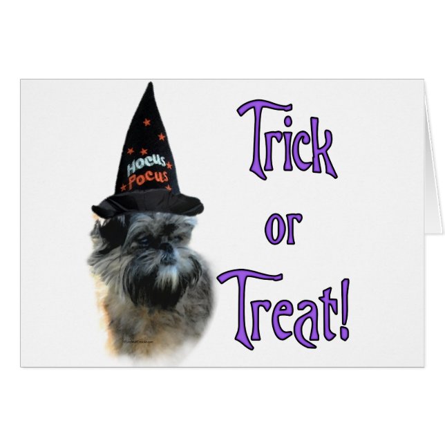 Affenpinscher Trick (Voorkant Horizontaal)