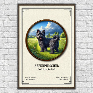 Affenpinscher Zoölogie Serie Poster