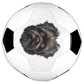 Affenpinscher Zwarte Hond Voetbal (Gedraaid)