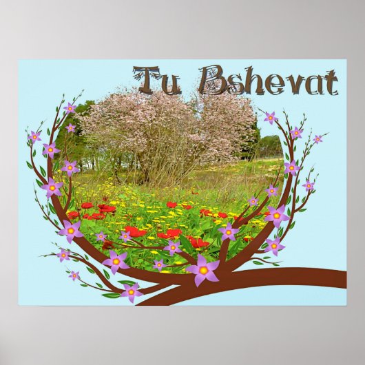 Affiche (Devant)